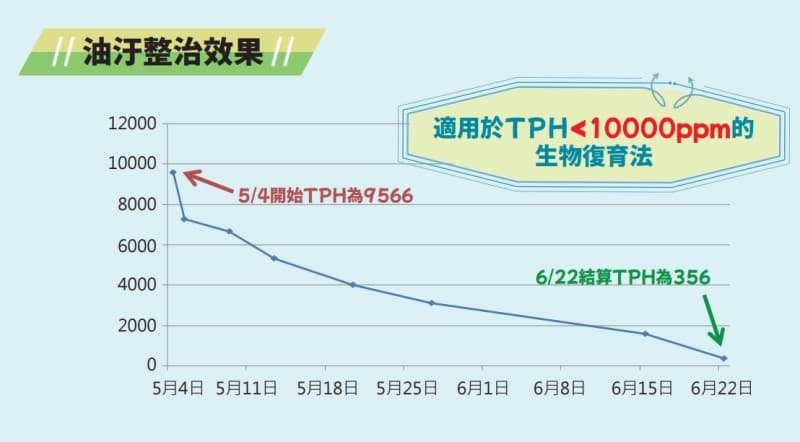 油綺麗的處理階段