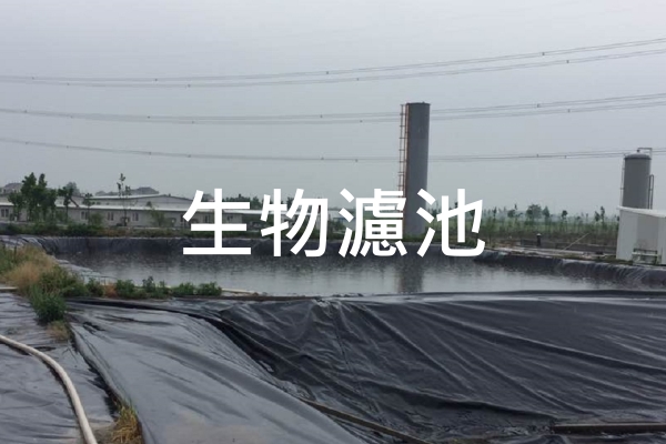 仁維國際生物濾池防治效果展示